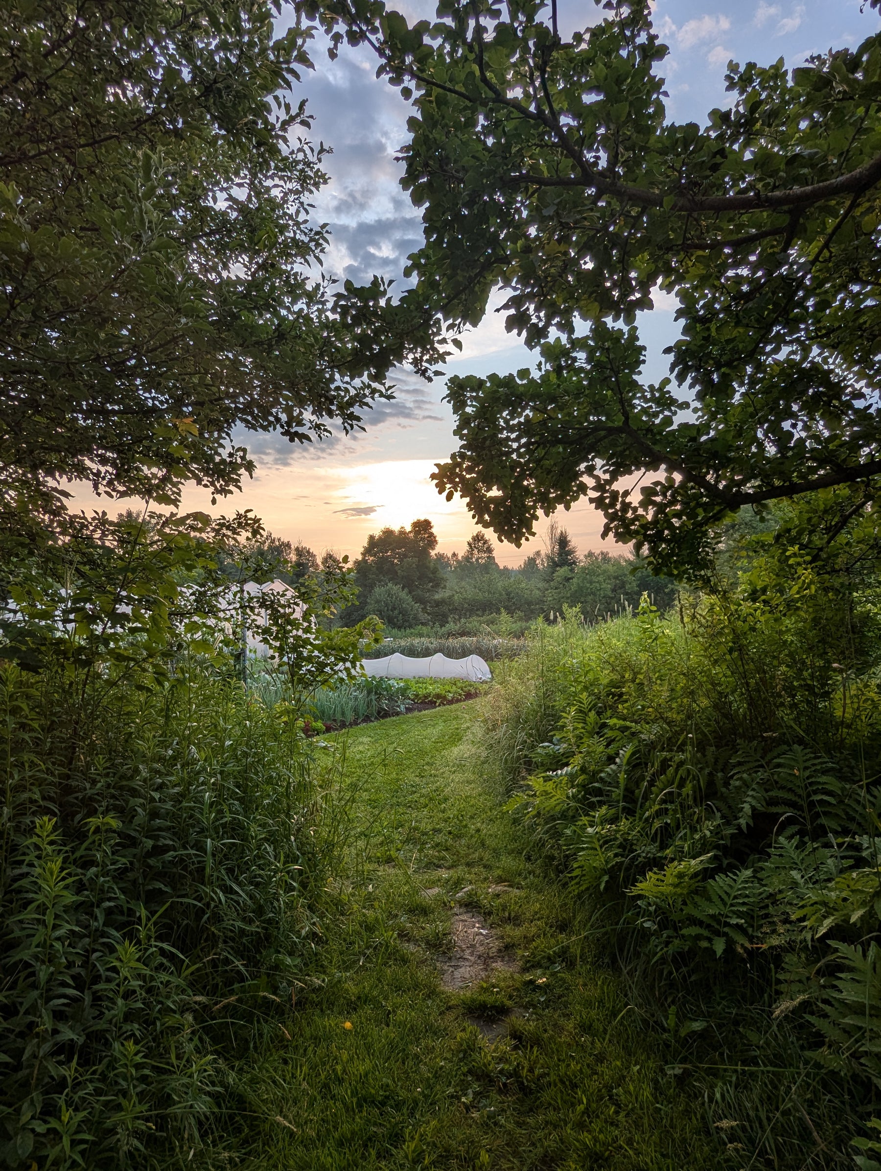 Séjour en pleine nature Magog Orford