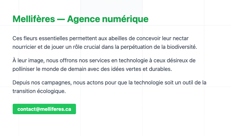 Consultation technologique professionnelle avec Mellifères, offrant expertise et solutions numériques personnalisées pour entrepreneurs et particuliers dans les Cantons-de-l'Est.